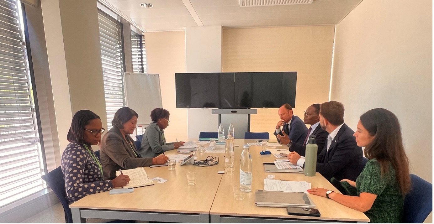 Strategic partnership meeting in Geneva